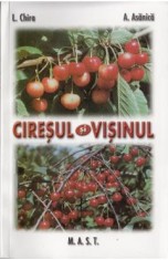 Ciresul si visinul - L. Chira, A. Asanica