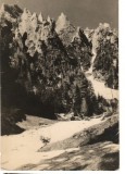 CPI B 11165 CARTE POSTALA - MUNTII BUCEGI. VALEA SI COLTII MORARULUI, RPR, Circulata, Fotografie