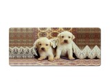 Mousepad Profesional pentru Gaming, 90 x 40 cm, Baza Cauciucata si Cusaturi Laterale, Compatibil Laptop sau Calculator, Premium, Catelusi Labrador, CB
