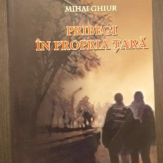 PRIBEGI IN PROPRIA TARA - MIHAI GHIUR