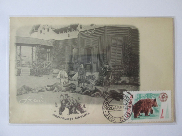 Rară! Carte poștală romaneasca Socecu circa 1898:Vanatoare de ursi,maxima 1986