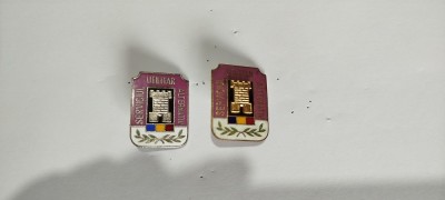 set insigne militare foto