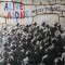 Vinil LP Thomas &lrm;&ndash; Alive Alone (EX)