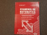 Examenul de matematica intre strategie si efort Nitescu Theodor, Iancu Irina