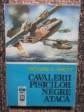 Cavalerii pisicilor negre ataca - RICHARD C. KNOTT