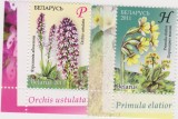 BELARUS 2011 FLORI Serie cu 2 timbre MNH**, Nestampilat