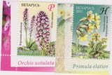 BELARUS 2011 FLORI Serie cu 2 timbre MNH**