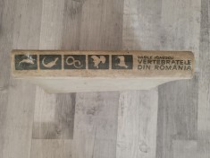 Vertebratele din Romania de Vasile Ionescu