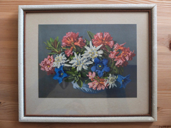 Flori de munte &ndash; reproducere foto (tablou decorativ)