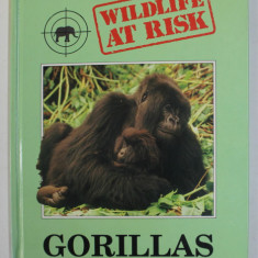 WILDLIFE AT RISK - GORILLAS by IAN REDMOND , 1990