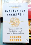 Imblanzirea anxietatii - Judson Brewer