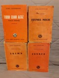 TUDOR CEAUR ALCAZ (COCA DUDUS/DRUMUL MAGIC/INIMA/FRUNZA)-IONEL TEODOREANU