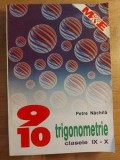 Trigonometrie clasele 9-10 - Petre Nachila