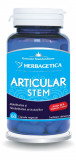 Articular+ Stem, 60 capsule, Herbagetica
