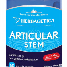 Articular+ Stem, 60 capsule, Herbagetica