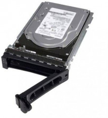 Hard disk server Dell 1TB 7.2K rpm SATA Entry 3.5 inch foto