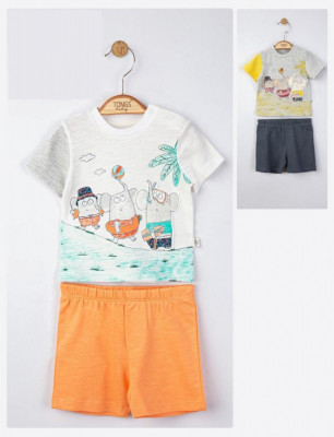 Set tricou de vara cu pantalonasi pentru bebelusi Swim, Tongs baby (Culoare: Gri, Marime: 9-12 luni) foto