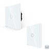 Pachet Intrerupator Simplu RF433 + Telecomanda 1 Canal RF433 cu Touch Din Sticla LUXION SmartElectro IntelligentHouse