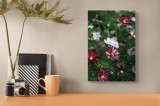 Tablou Canvas, "Flori colorate &icirc;n dansul v&acirc;ntului", Flori, Roșii, Trandafirii, Petale, Verdeață, Natură, Grădină, Frumusețe, Primăvară, Delicat, Prosp