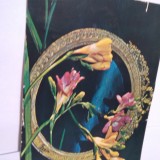 CARTE POSTALA FELICITARE NECIRCULATA