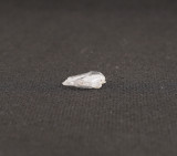 Fenacit nigerian cristal natural unicat f301