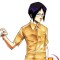 Bleach, Volume 4