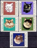Manama 1968 - Pisici, serie neuzata