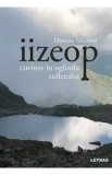 Iizeop. Cuvinte in oglinda sufletului - Horatiu Macovei