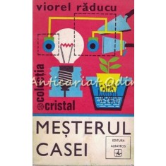 Mesterul Casei - Viorel Raducu