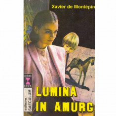 Xavier de Montepin - Lumina in amurg - 131752 foto