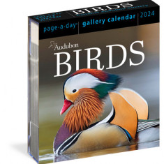 Audubon Birds Page-A-Day Gallery Calendar 2024