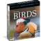 Audubon Birds Page-A-Day Gallery Calendar 2024