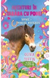 Aventuri in tabara cu ponei. Sophie si poneiul misterios - Olivia Tuffin