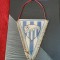Fanion F C Baia Mare