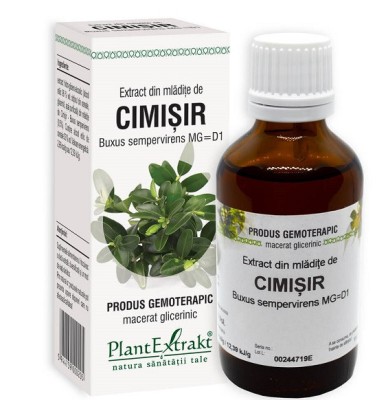 Extract din mladite de cimisir 50ml foto