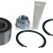 Set rulment roata FIAT DOBLO Microbus (223, 119) (2001 - 2016) RINGER 1141006038