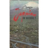 Japonia, un miracol? - Florea Tuiu