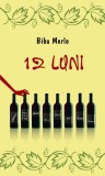 12 luni | Biba Merlo, Rao