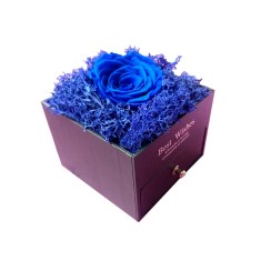 Trandafir Criogenat albastru cu licheni, BV, 10 cm , 19demoCRIO