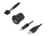 Adaptor USB/AUX Fiat Jack 3,5mm 4pin, USB A