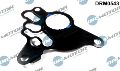 Garnitura, Pompa Vacuum 286596 DRM0543 foto