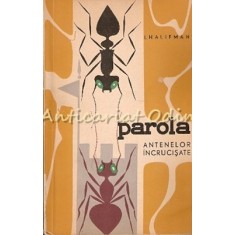 Parola Antenelor Incrucisate - I. Halifman