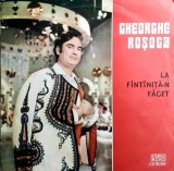 Gheorghe Rosoga &ndash; La fantanita-n Faget