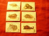 Serie mica Madagascar 1993 - Moluste , 6 valori (din7v)