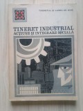 Tineret industrial - acțiune și integrare socială (cercetare sociologică condusă de Ovidiu Bădina)