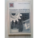 Tineret industrial - acțiune și integrare socială (cercetare sociologică condusă de Ovidiu Bădina)
