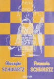 Paranoia Schwartz - Gheorghe Schwartz - Roman