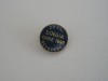 QW9 J 18 - Insigna - tematica invatamant - revedere promotie 1976 - Sinaia, Romania de la 1950