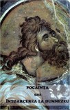 Pocăinţa sau &icirc;ntoarcerea la Dumnezeu - Hardcover - *** - Bizantină