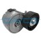 DAYCO APV1078 Intinzator curea, curea distributie